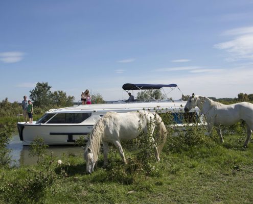 leboat-destination-france-camargue-must-credit-stuart-pearce (4)