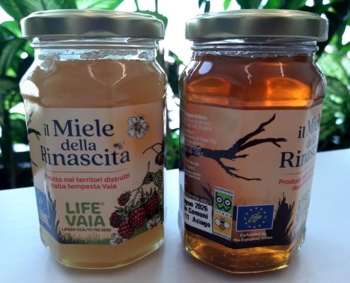 Miele della Rinascita Life Vaia 2
