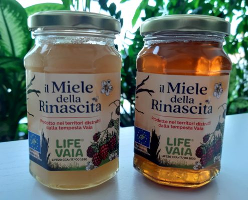 Miele della Rinascita Life Vaia