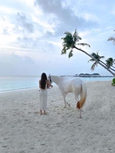 SIYAM_WORLD_MALDIVES_Horse_Nour_with_Guest