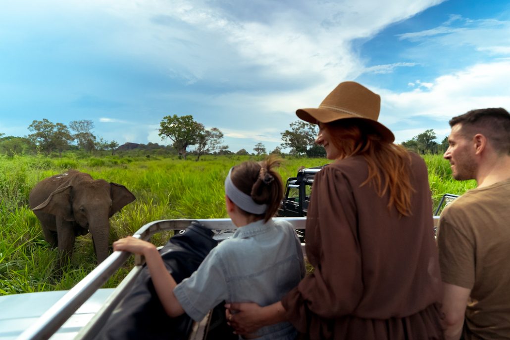 SSP_Sun_Siyam_Pasikudah_SRI_LANKA_Elephant_Family_JcobAfra_202520 copia